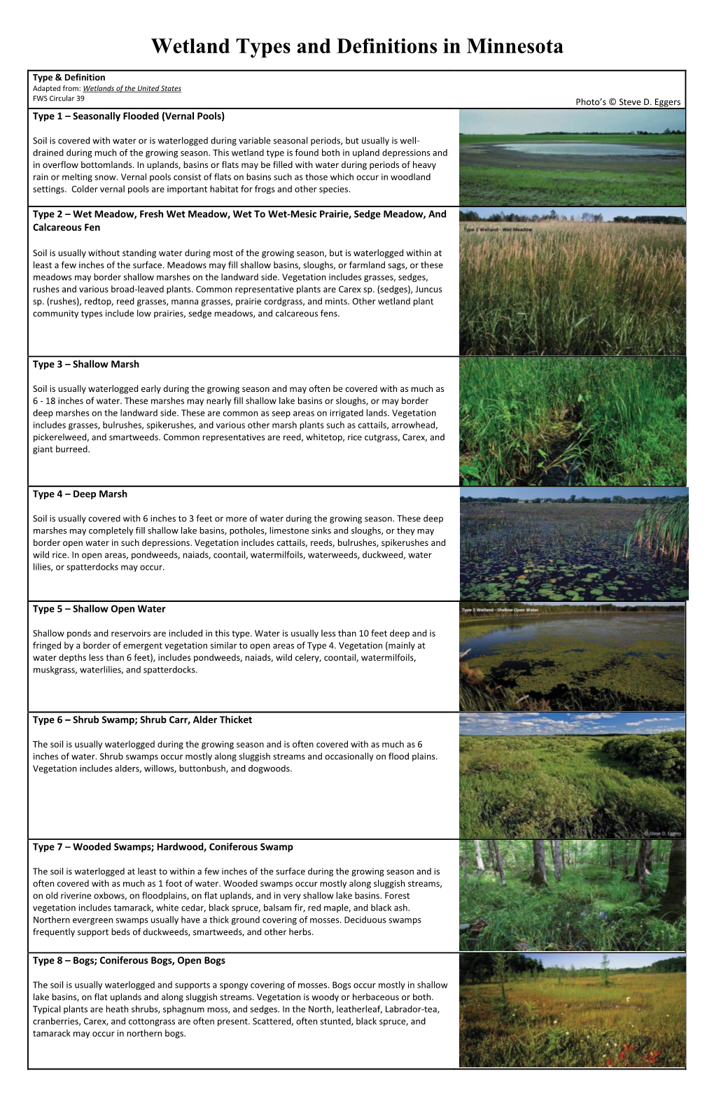 Wetland Types and Definitions in Minnesota