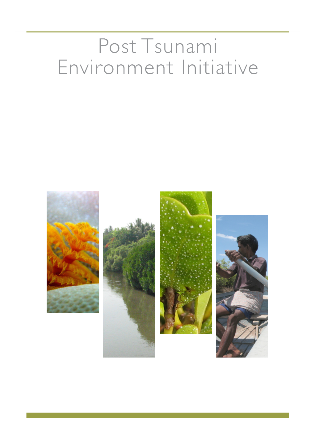 Post Tsunami Environment Initiative