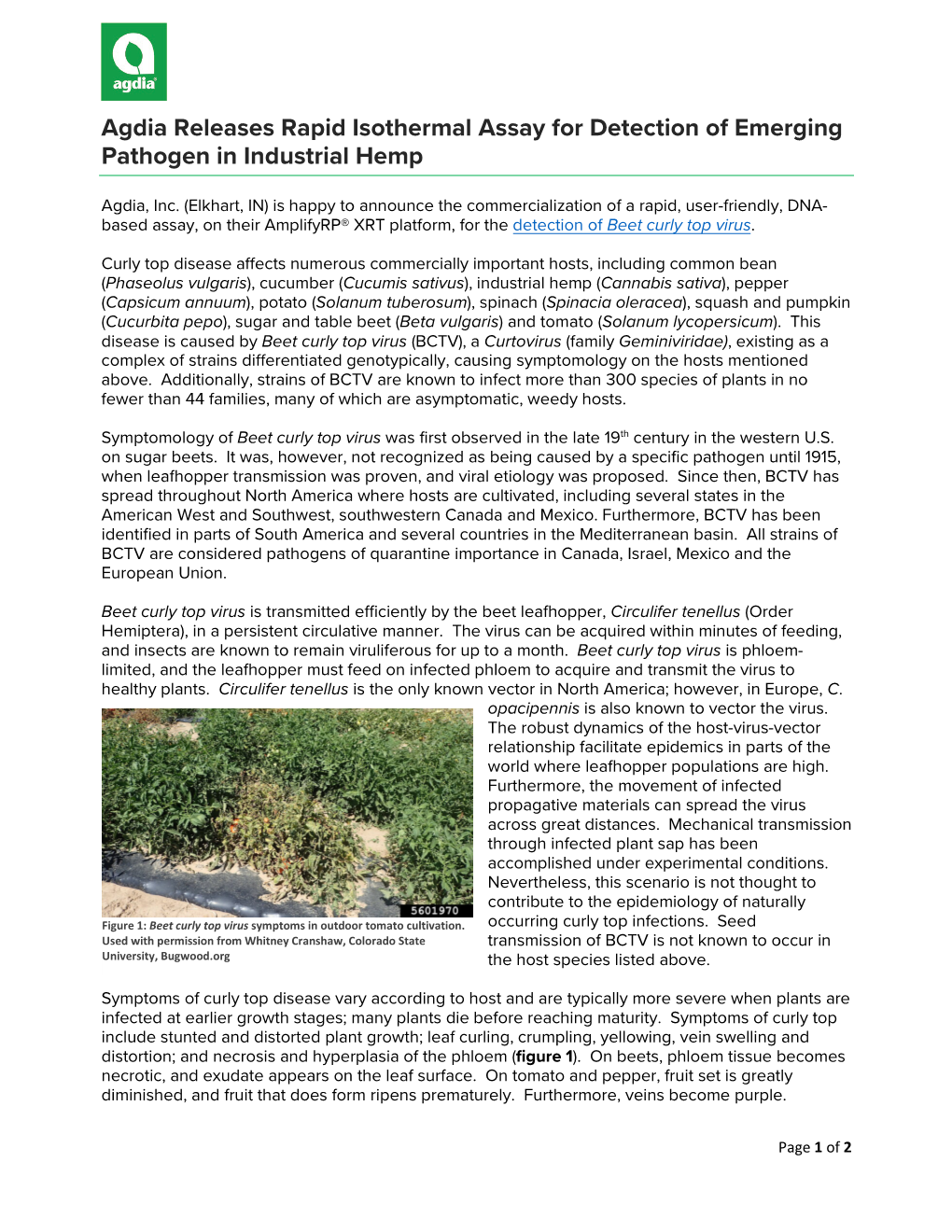 Agdia Releases Rapid Isothermal Assay for Detection of Emerging Pathogen in Industrial Hemp
