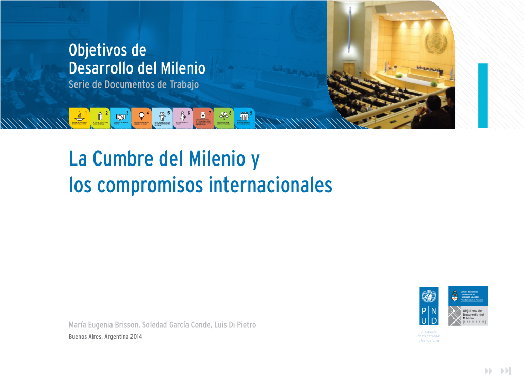 La Cumbre Del Milenio Y Los Compromisos Internacionales