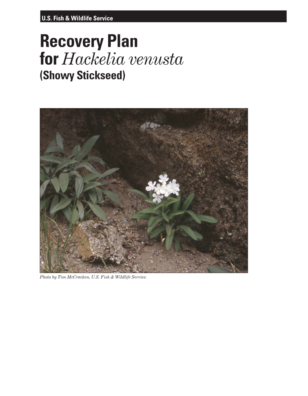 Recovery Plan for Hackelia Venusta (Showy Stickseed)