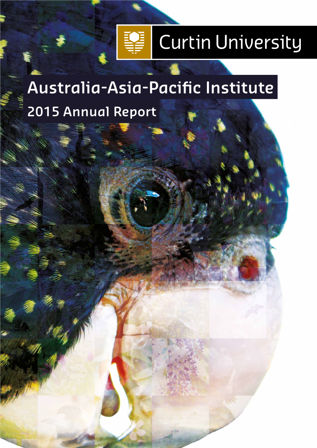 Australia Asia Pacific Institute