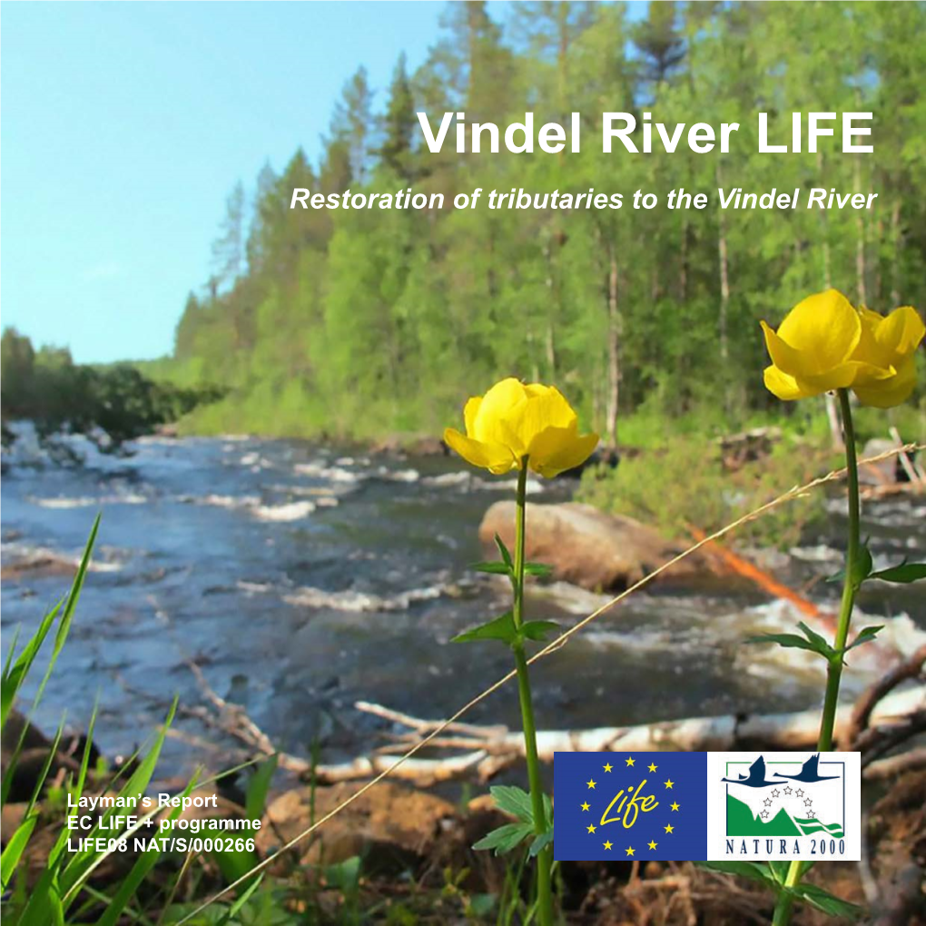 Vindel River LIFE Restoration of Tributaries to the Vindel River