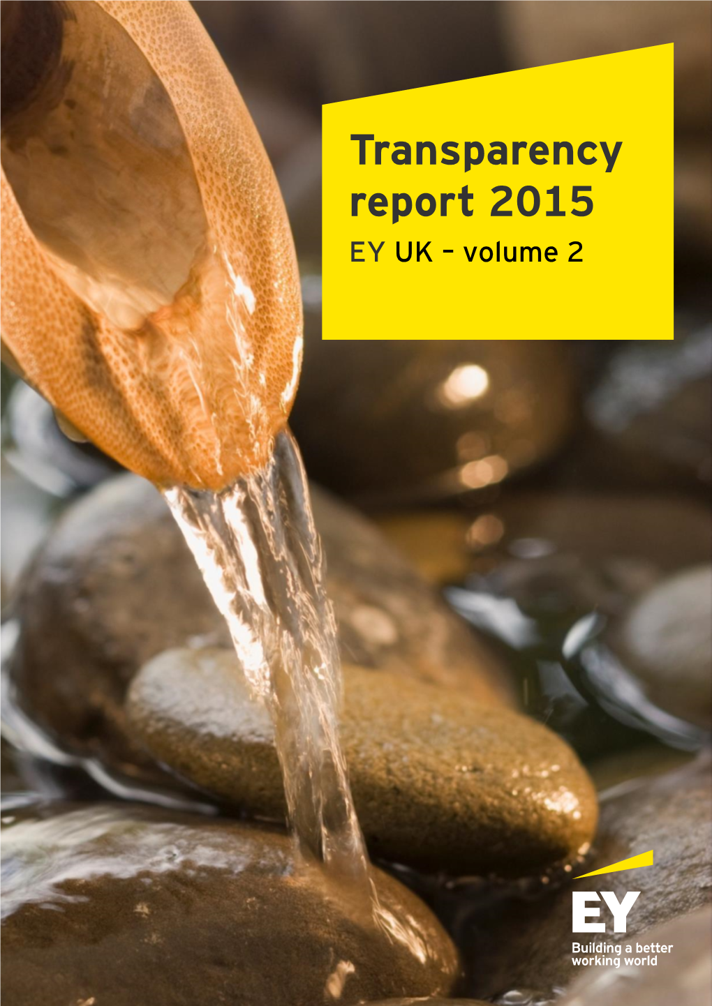 Transparency Report 2015