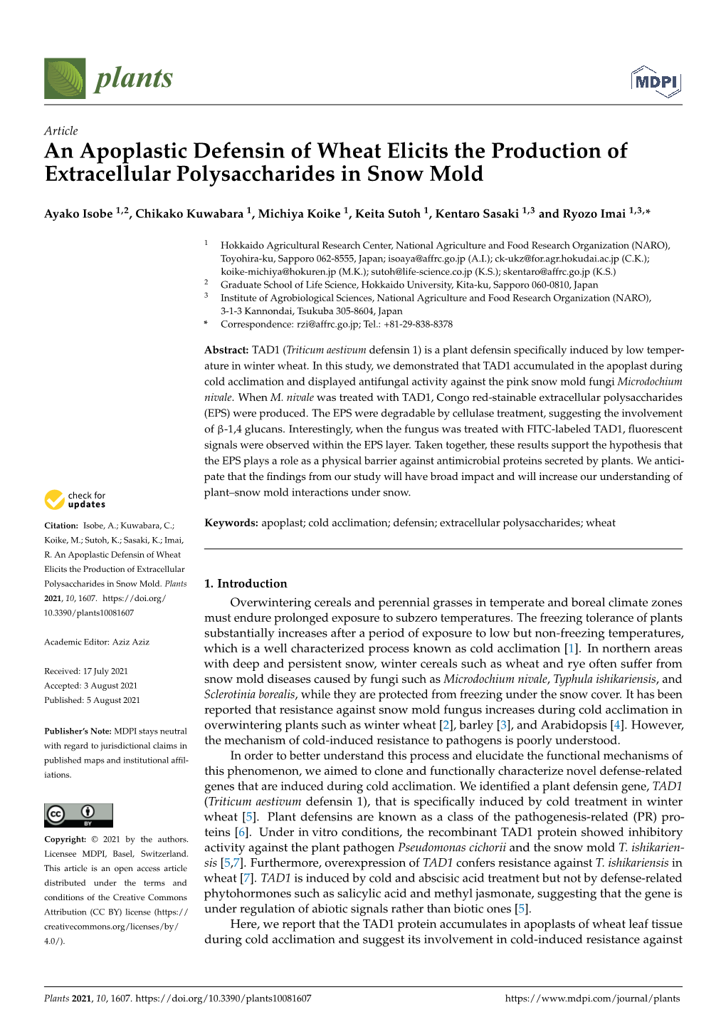 An Apoplastic Defensin of Wheat Elicits the Production of Extracellular Polysaccharides in Snow Mold