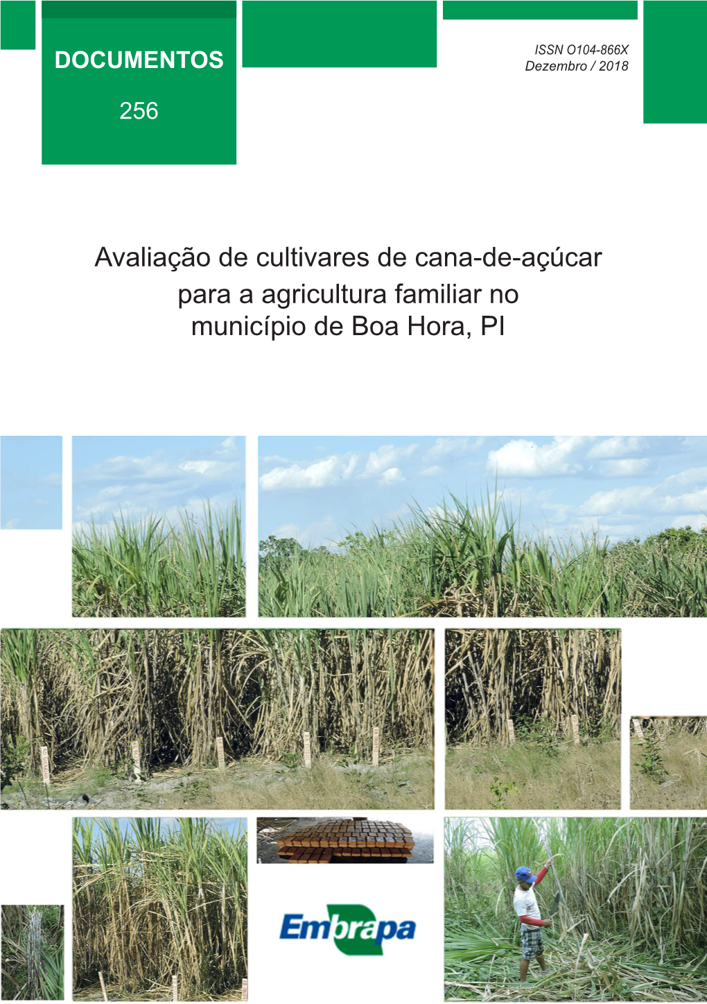 Avaliação De Cultivares De Cana-De-Açúcar Para a Agricultura Familiar No Município De Boa Hora, PI ISSN 0104 - 866X Dezembro / 2018