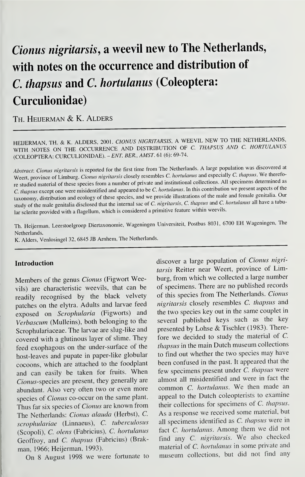 Cionus Nigritarsis, a Weevil New to the Netherlands, with Notes on the Occurrence and Distribution of C