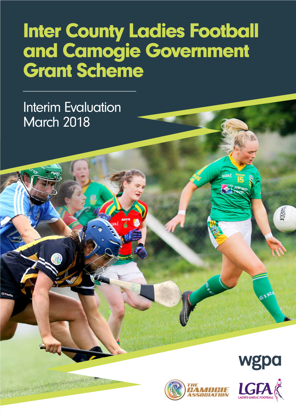 Inter County Ladies Football and Camogie Government Grant Scheme