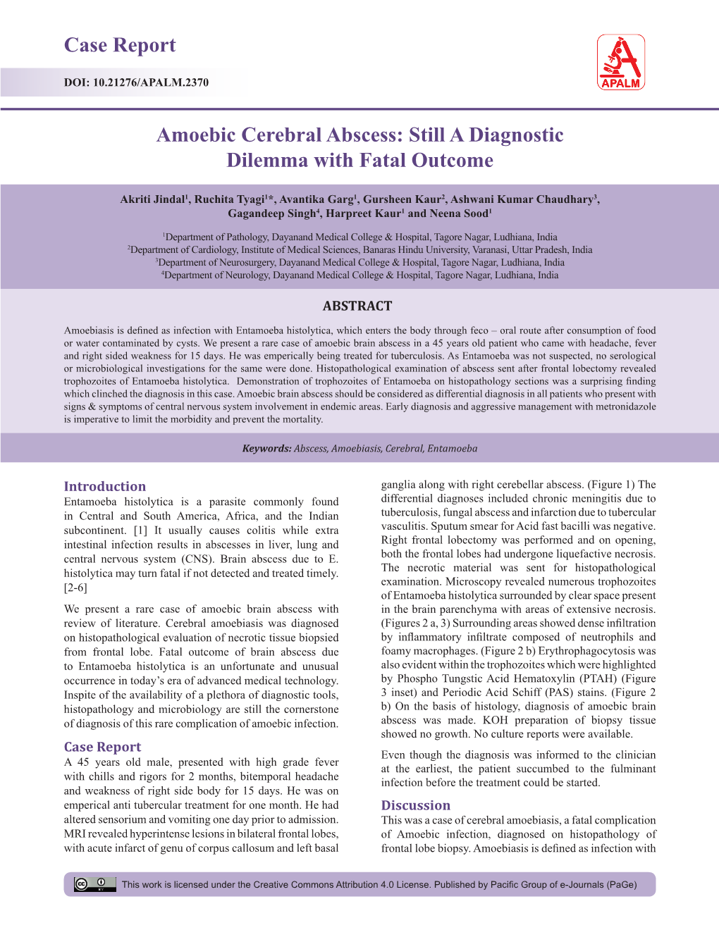 Case Report Amoebic Cerebral Abscess