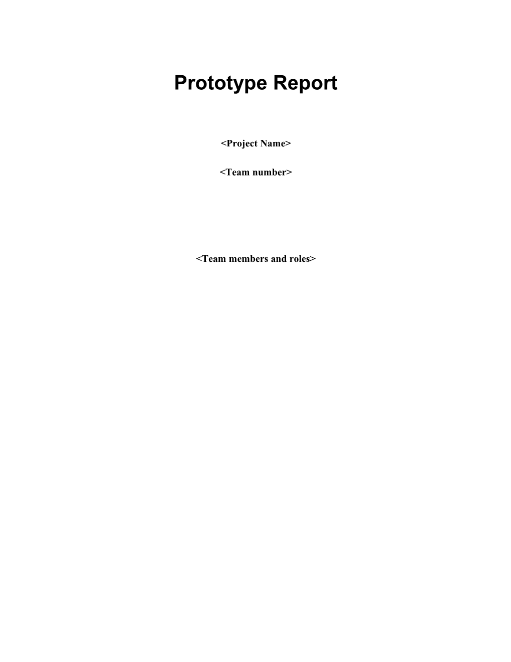 Prototype Report