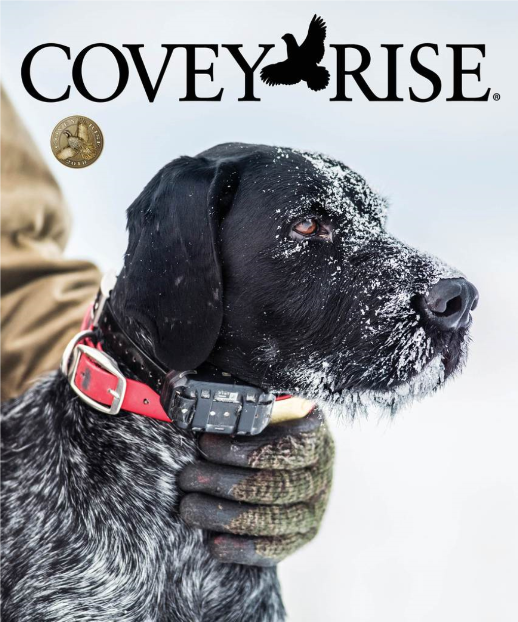 Covey-Rise-Winter-2017.Pdf