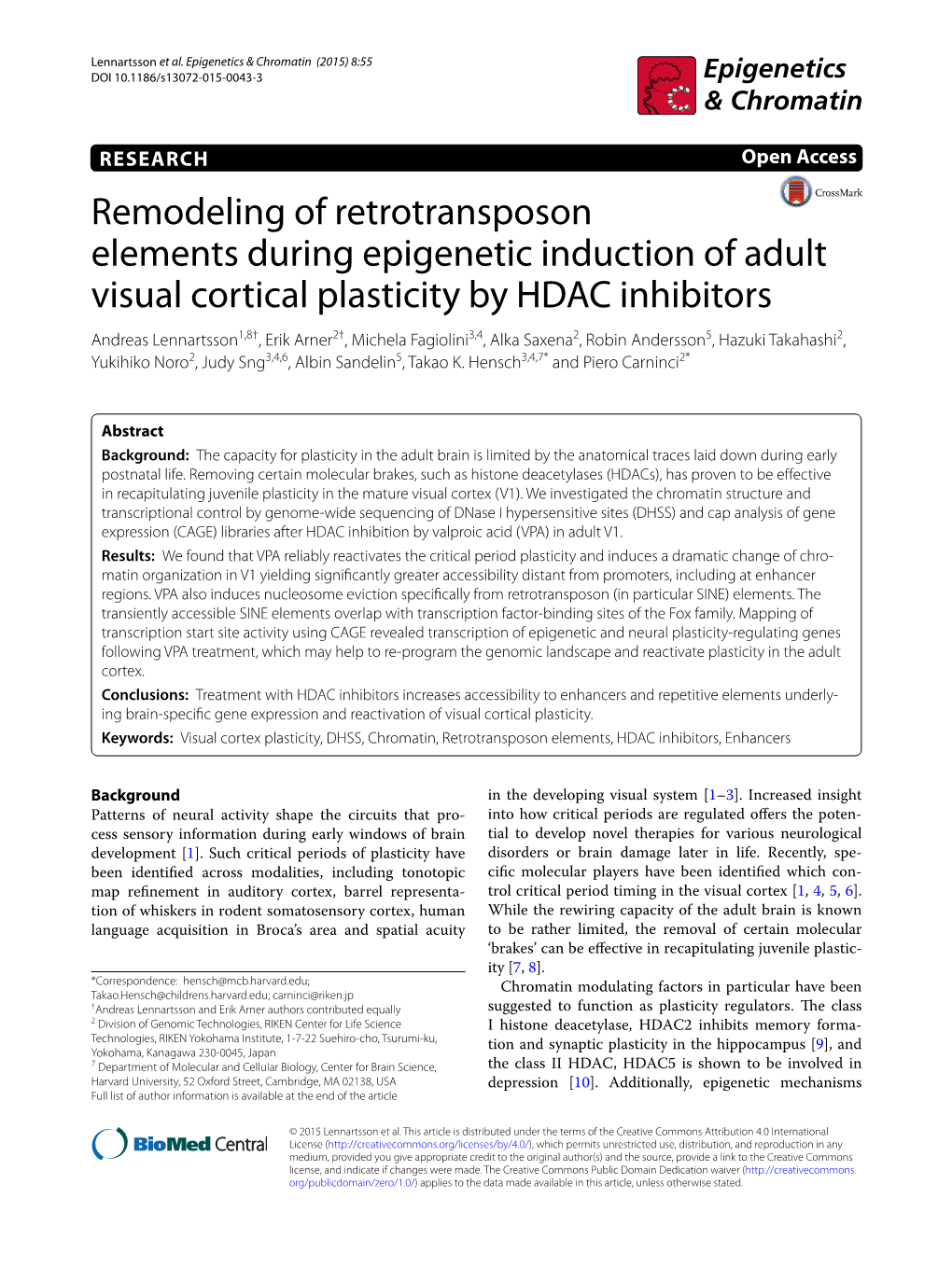 Remodeling of Retrotransposon Elements During