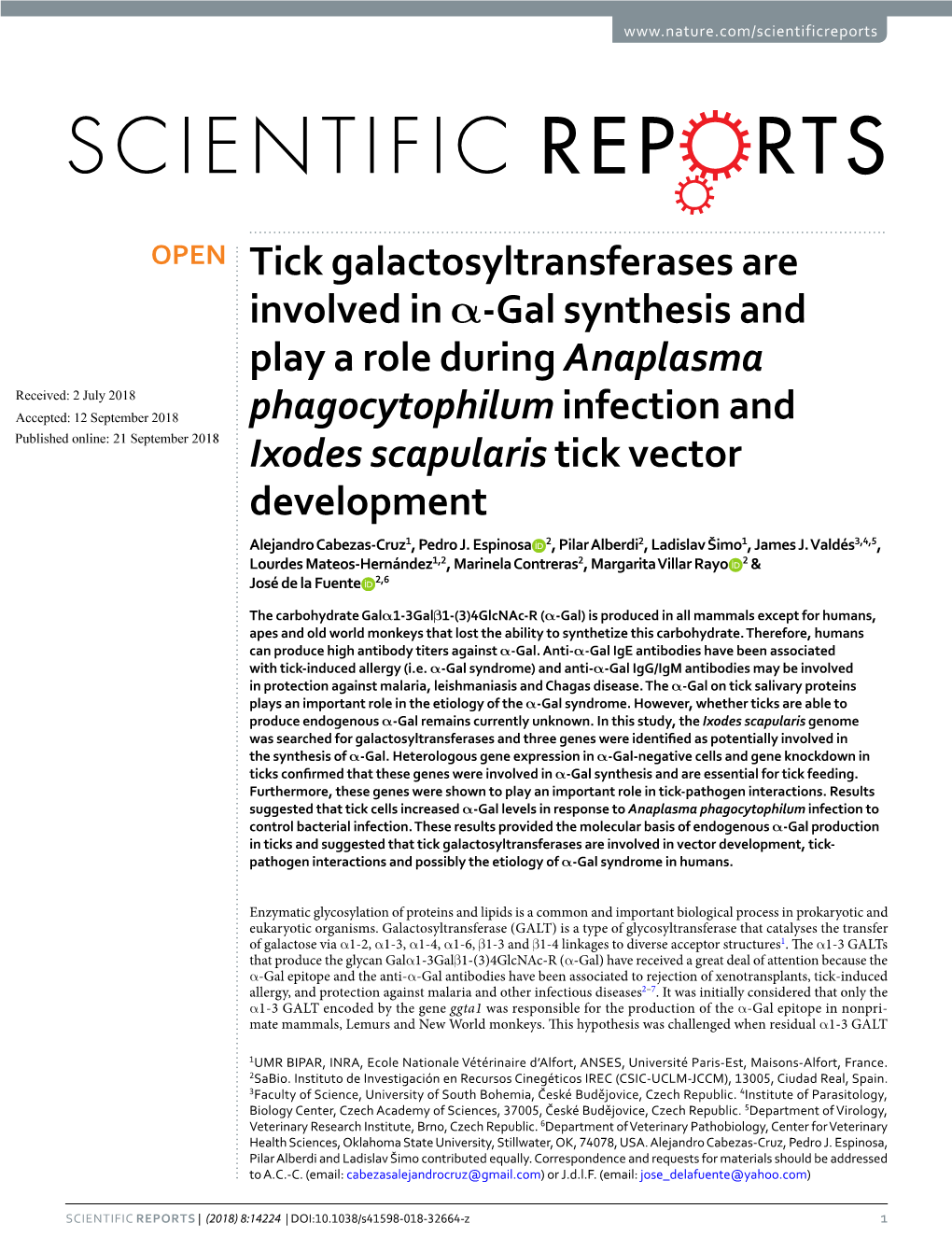 Tick Galactosyltransferases Are Involved in Α-Gal Synthesis And