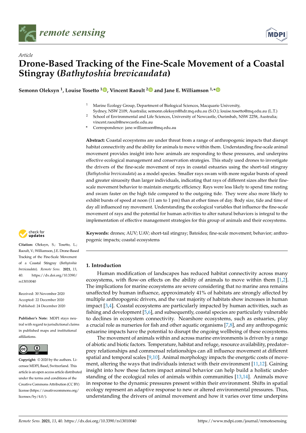 Drone-Based Tracking of the Fine-Scale Movement of a Coastal Stingray (Bathytoshia Brevicaudata)