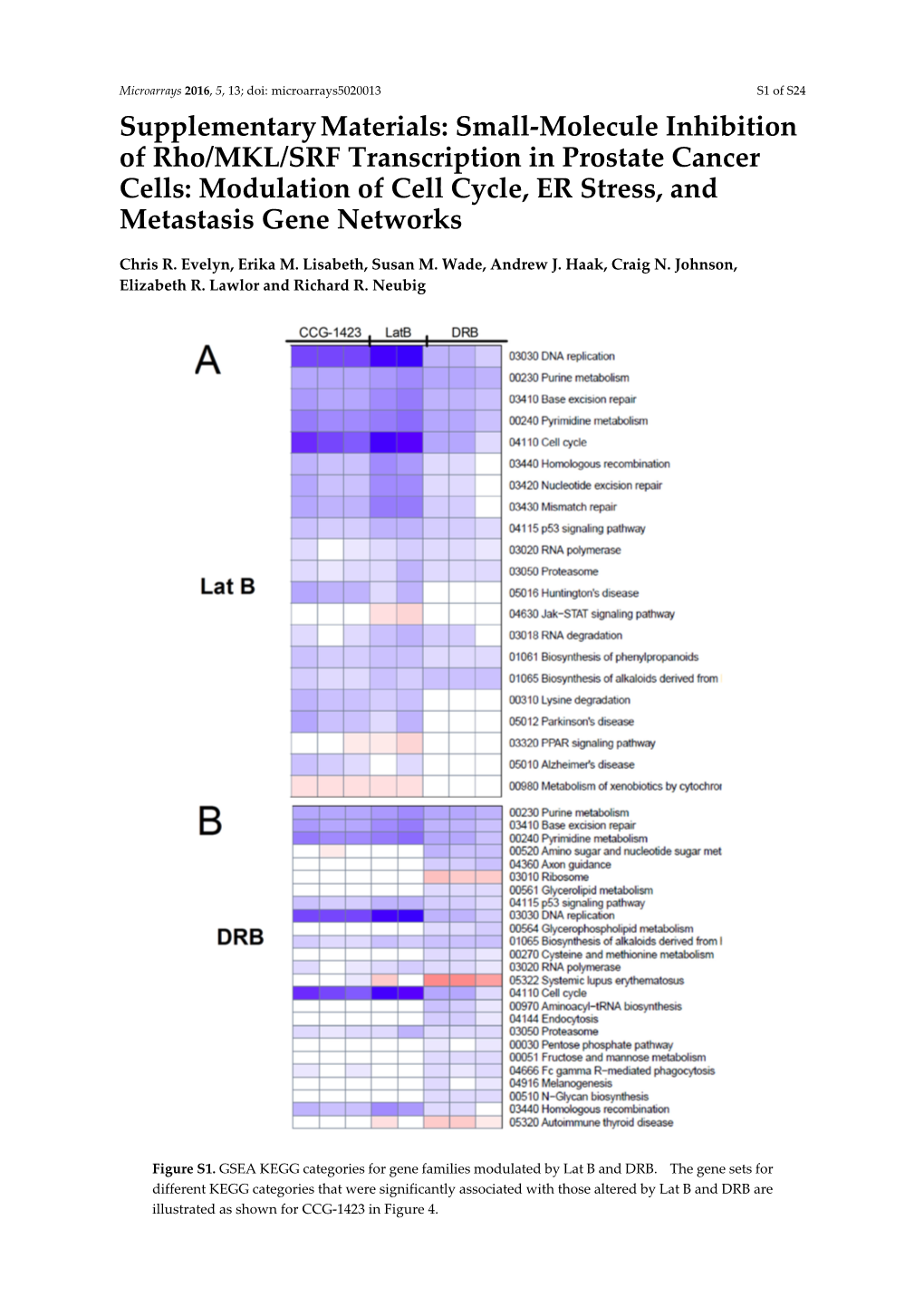 Supplementary Materials: Small-Molecule Inhibition of Rho