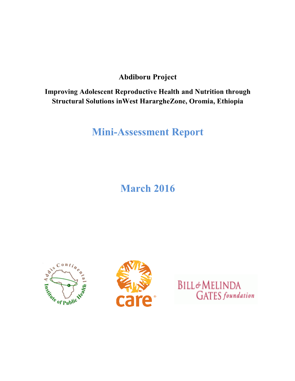 Mini-Assessment Report March 2016