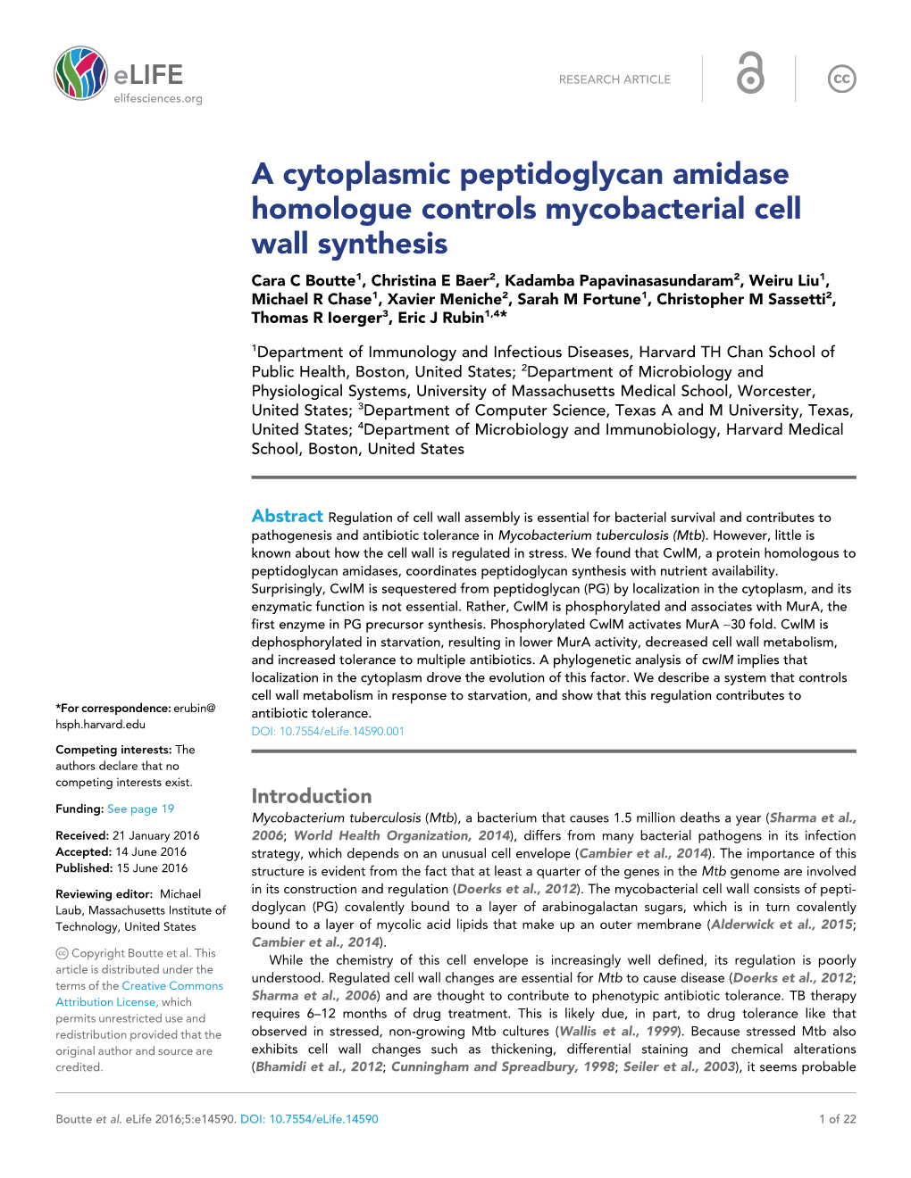 A Cytoplasmic Peptidoglycan Amidase Homologue Controls Mycobacterial