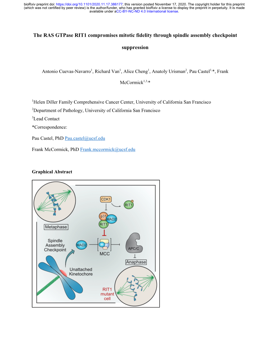 The RAS Gtpase RIT1 Compromises Mitotic Fidelity Through Spindle Assembly Checkpoint