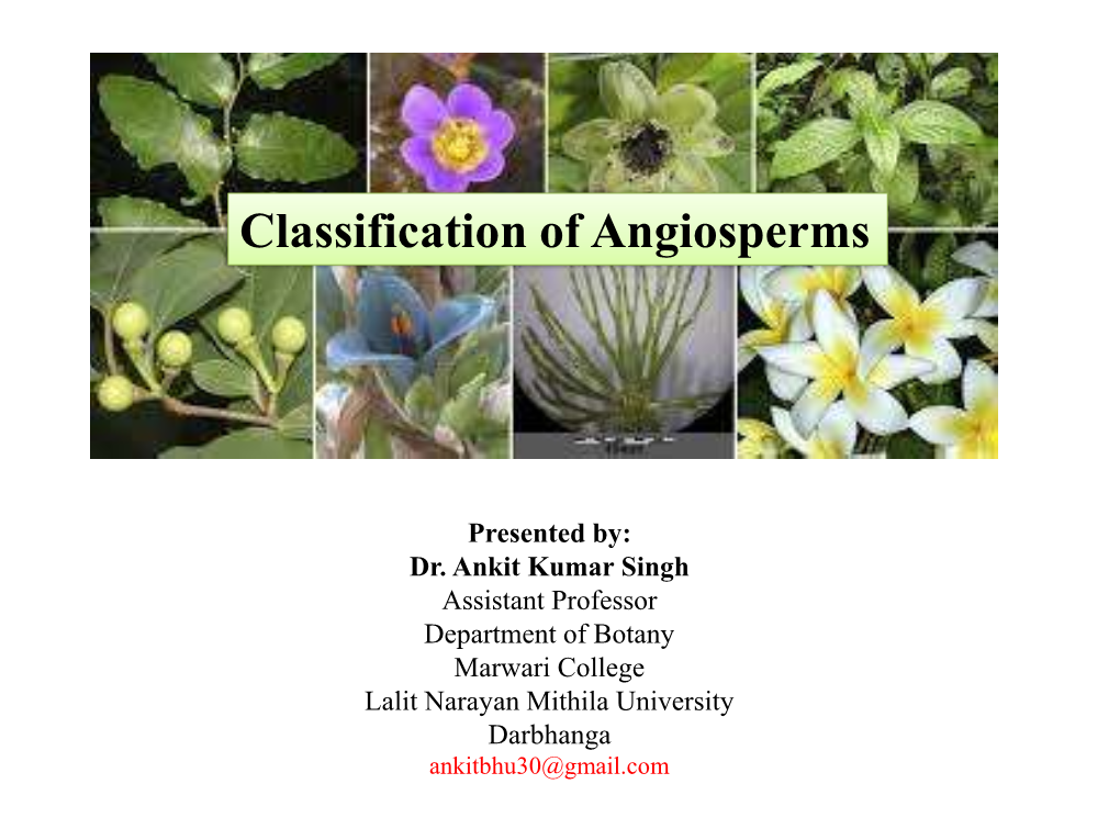 Classification of Angiosperms