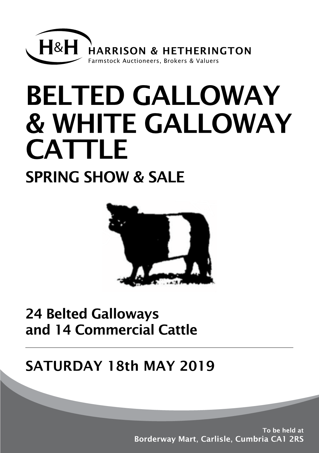 Belted Galloway & White Galloway Cattle