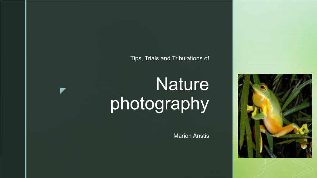 Nature Photography Marion Anstis