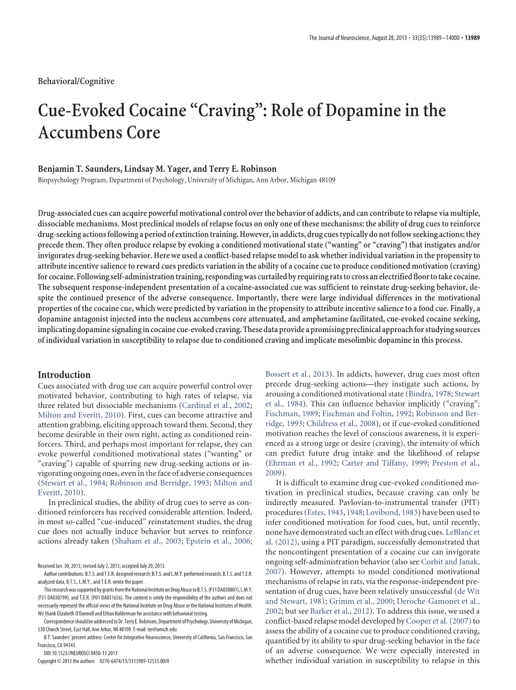 Cue-Evoked Cocaine “Craving”: Role of Dopamine in the Accumbens Core