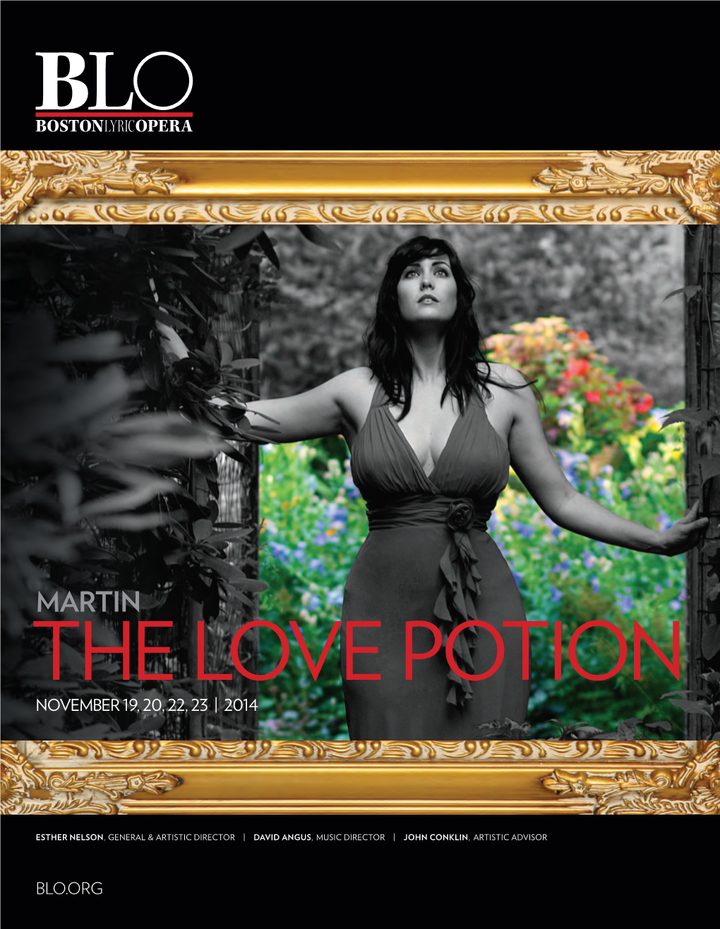 The Love Potion Program