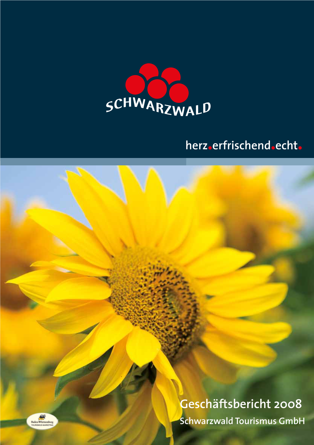 Geschäftsbericht 2008 Schwarzwald Tourismus Gmbh 2 Geschäftsbericht 2008