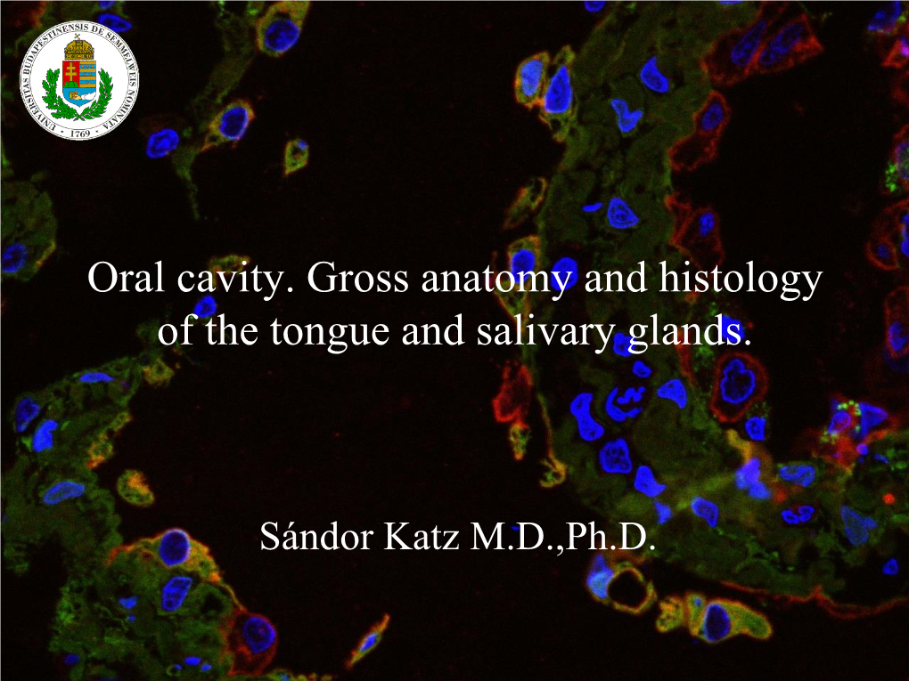 Oral Cavity. Gross Anatomy and Histology of the Tongue and Salivary Glands