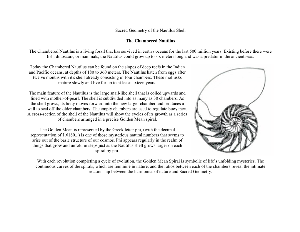 Sacred Geometry of the Nautilus Shell