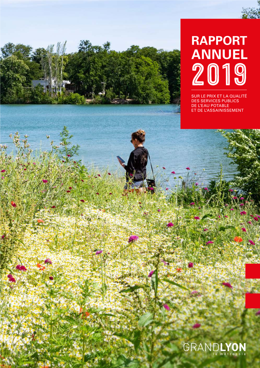 Rapport Annuel 2019 Sur Le Prix Et La Qualité Des Services Publics De L’Eau Potable Et De L’Assainissement Sommaire