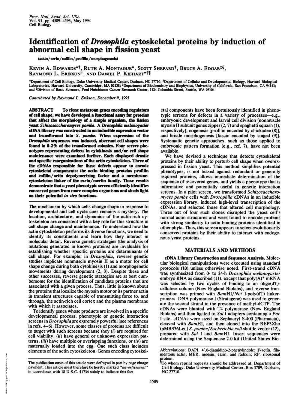 Identification of Drosophila Cytoskeletal Proteins by Induction of Abnormal Cell Shape in Fission Yeast (Actin/Ezrln/Coffn/Proflfn/Morphogenesis) KEVIN A