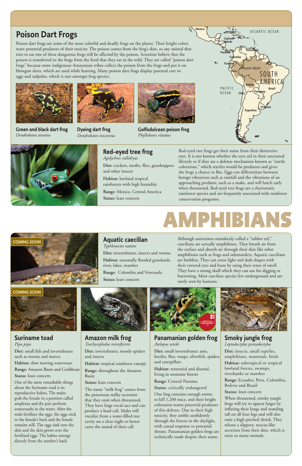 SF Zoo Tropical Rainforest and Aviary Amphibian and Reptile Guide