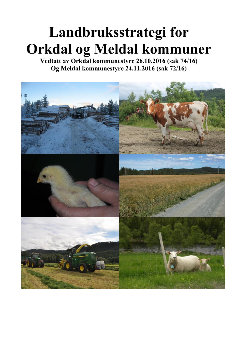 Landbruksstrategi for Orkdal Og Meldal Kommuner Vedtatt Av Orkdal Kommunestyre 26.10.2016 (Sak 74/16) Og Meldal Kommunestyre 24.11.2016 (Sak 72/16)