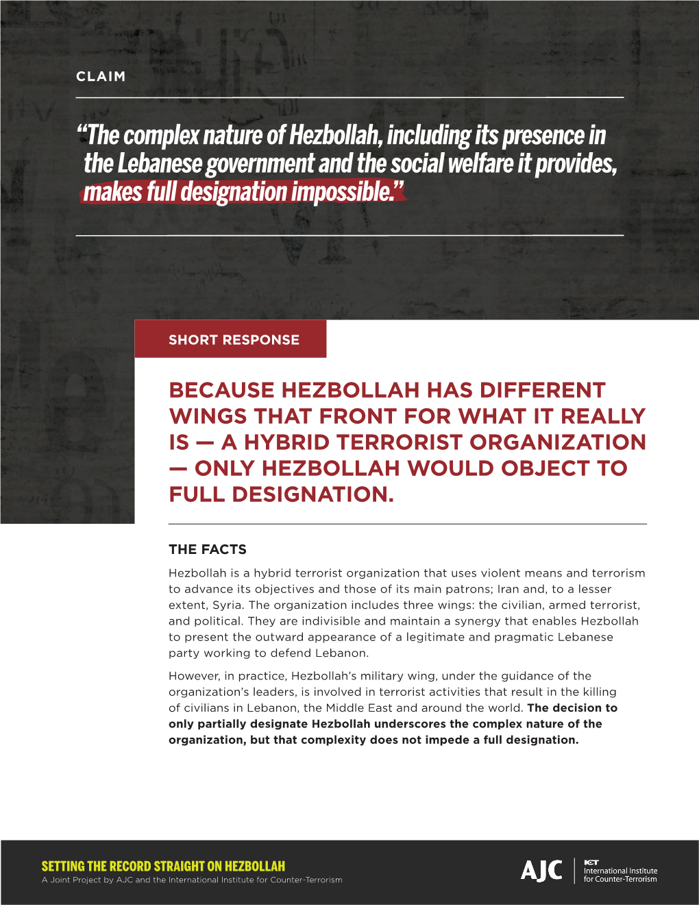 The Complex Nature of Hezbollah, Including Its Presence in the Lebanese Government and the Social Welfare It Provides, Makes Full Designation Impossible.”