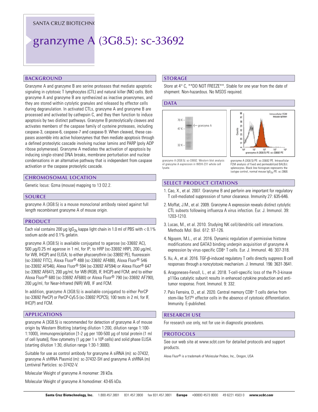 Granzyme a (3G8.5): Sc-33692