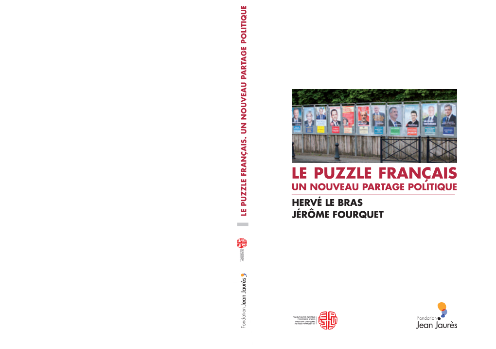 Puzzle Français. Un Nouveau Partage Politique