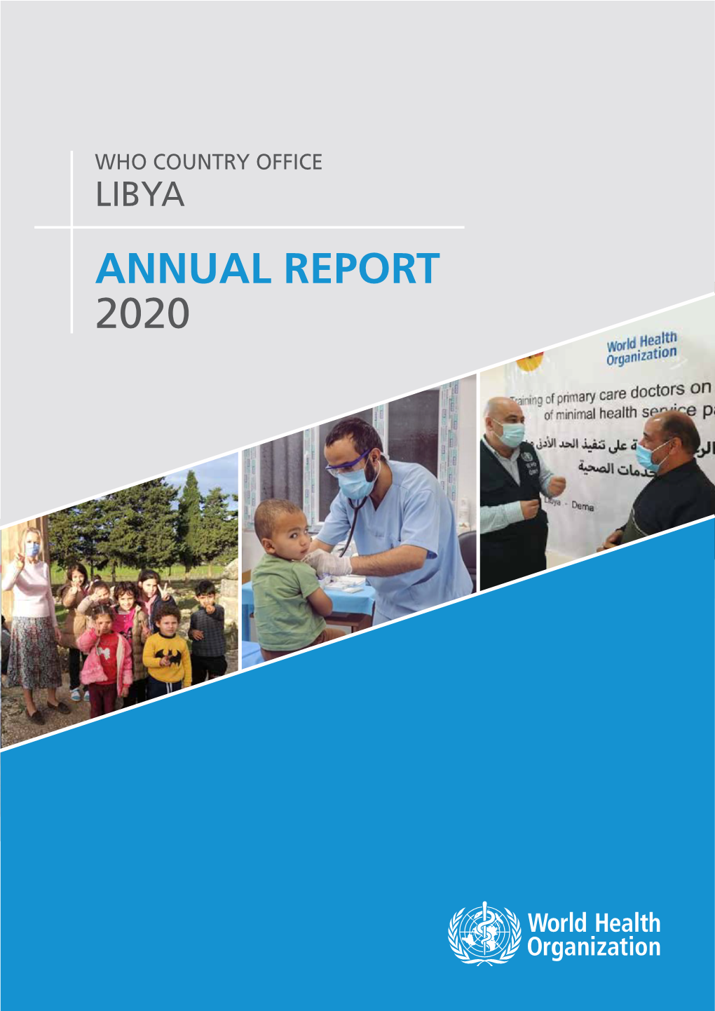 Libya's Annual Report, 2020