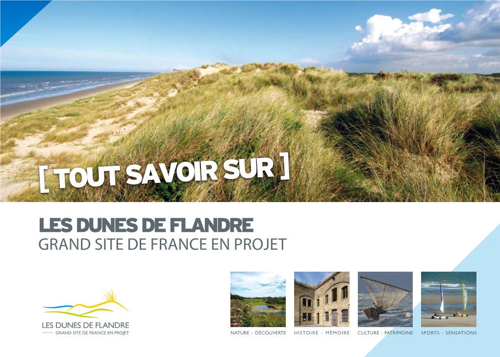 Les Dunes De Flandre