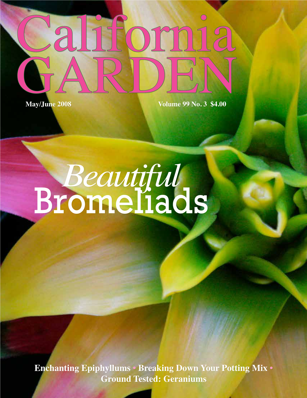 Beautiful Bromeliads