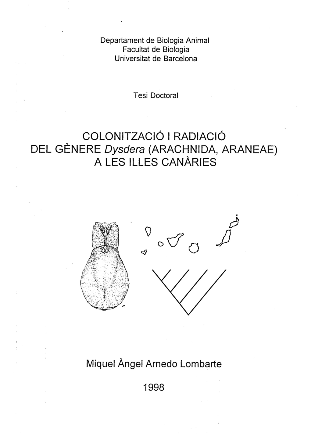 The Genus Dysdera in the Western Canary Islands 263