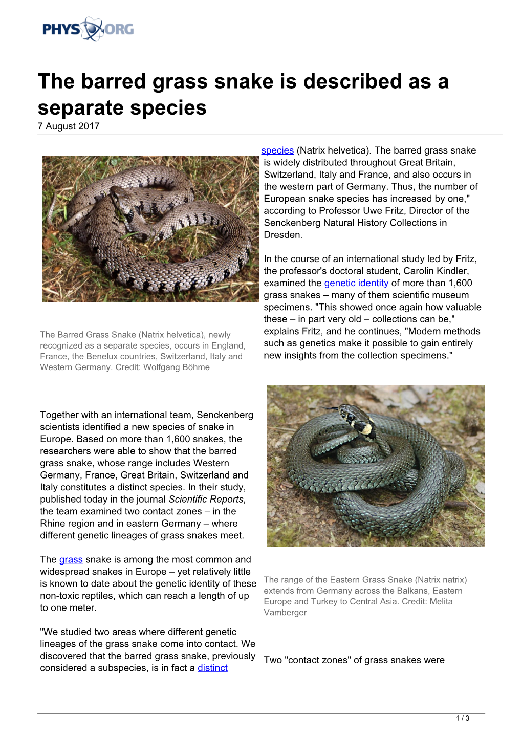 The Barred Grass Snake Is Described As a Separate Species 7 August 2017