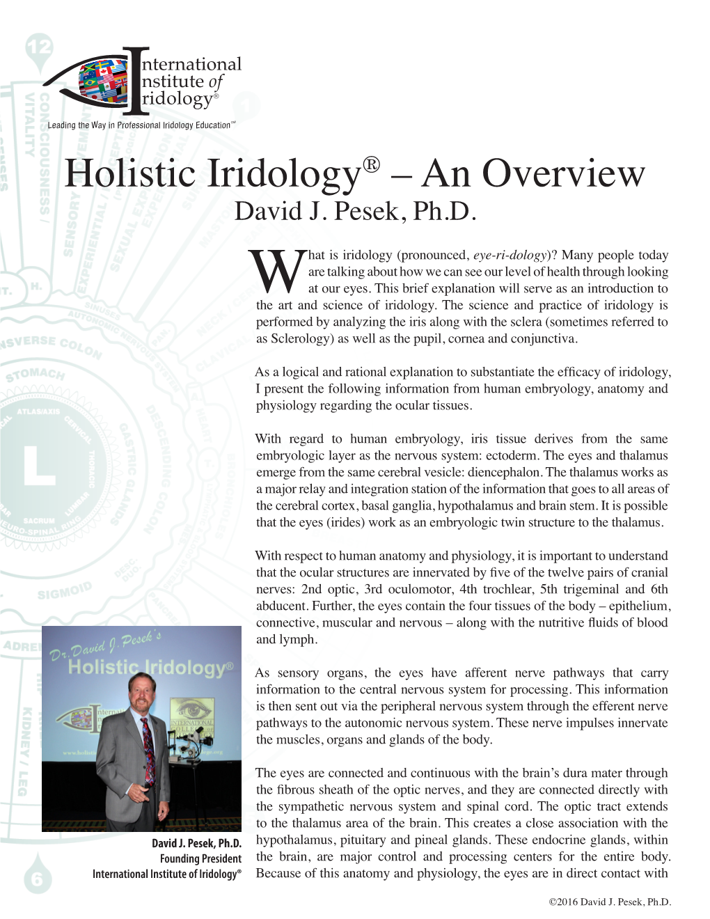 Holistic Iridology® – an Overview David J