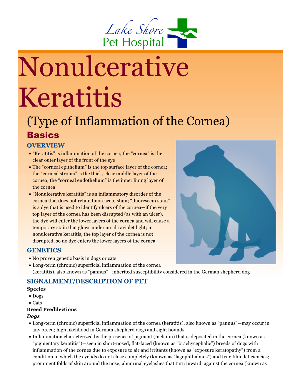 Nonulcerative Keratitis