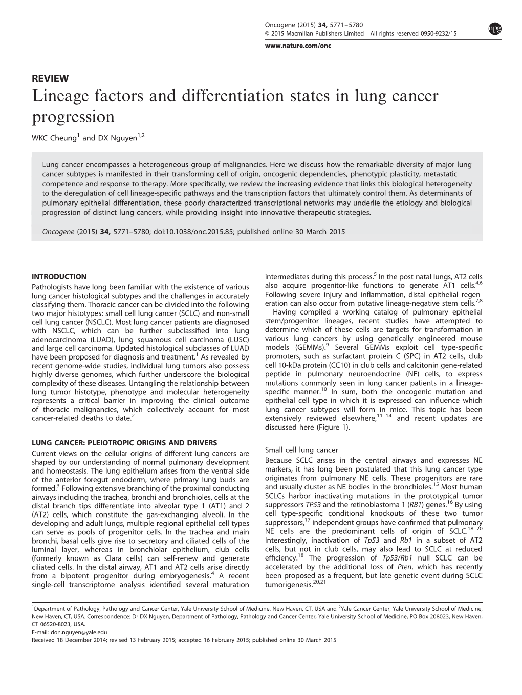 Lineage Factors and Differentiation States in Lung Cancer Progression