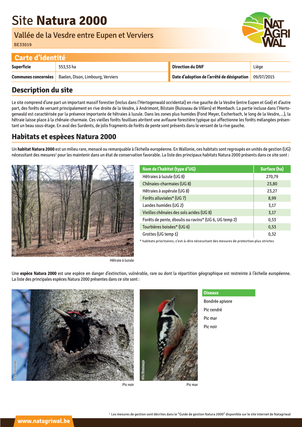 Site Natura 2000 Vallée De La Vesdre Entre Eupen Et Verviers BE33019 Carte D’Identité Superficie 553,53 Ha Direction Du DNF Liège