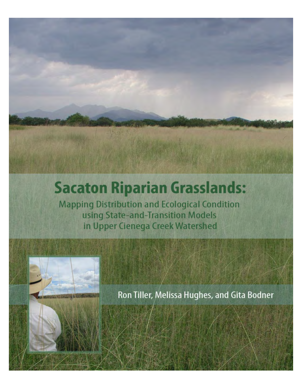 Sacaton Riparian Grasslands