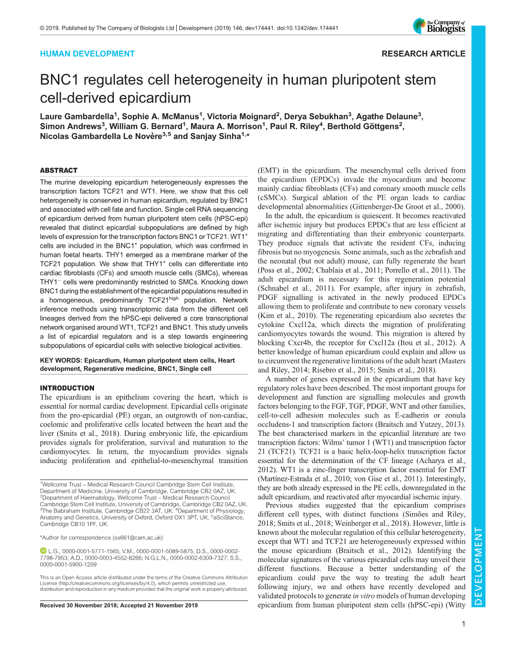 BNC1 Regulates Cell Heterogeneity in Human Pluripotent Stem Cell-Derived Epicardium Laure Gambardella1, Sophie A