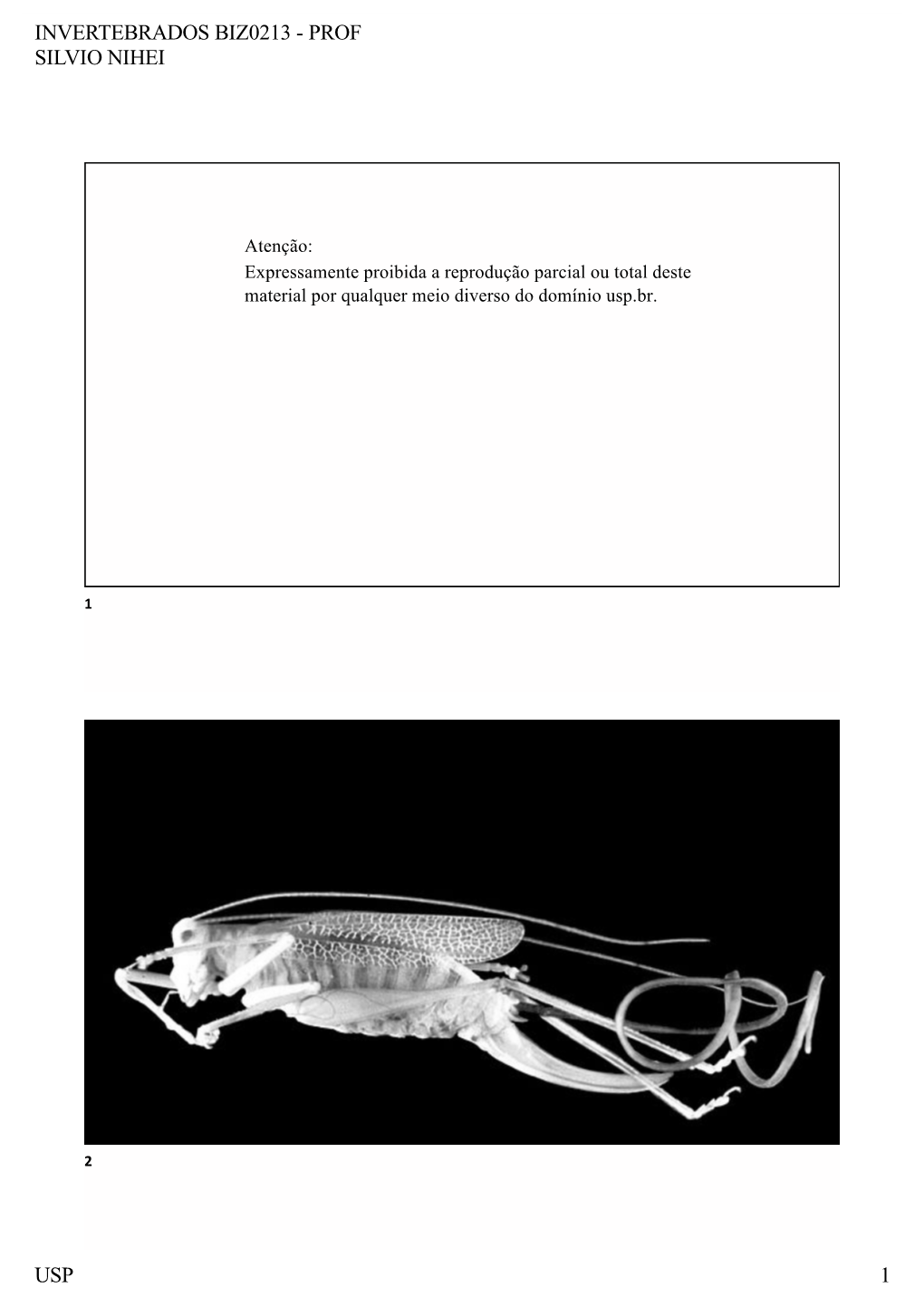 3A Nematoda E Nematomorpha