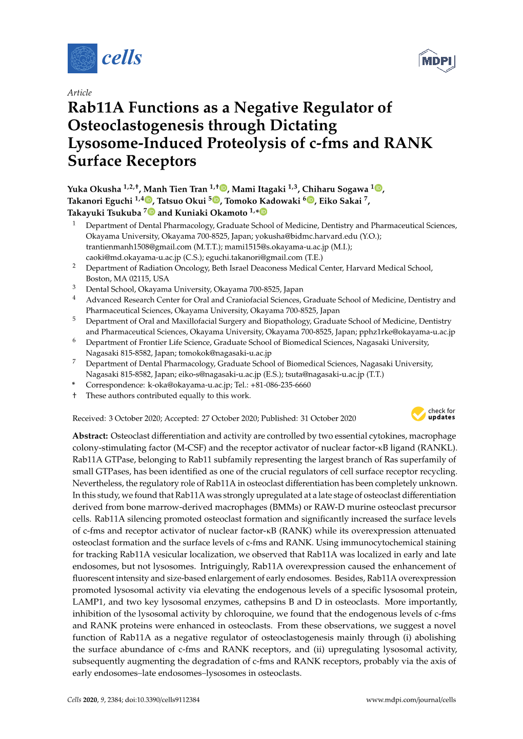 Rab11a Functions As a Negative Regulator of Osteoclastogenesis Through Dictating Lysosome-Induced Proteolysis of C-Fms and RANK Surface Receptors